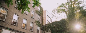 Corlears School backyard vines on a sunny day - HQ